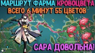 Лучший маршрут фарма Кровоцвета | Сара Инадзума | Genshin Impact