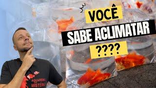 VOCÊ SABE ACLIMATAR ?!