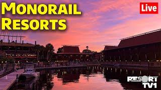 Live: Friday Night Live at Magic Kingdom Monorail Resorts - Walt Disney World Live Stream