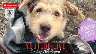 Sunday Night Live 25th August 2024