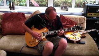 Edwards Les Paul vs Gibson Les Paul