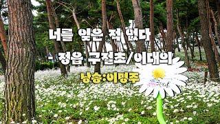 너를 잊은 적 없다- 정읍 구절초/이대의 (낭송:이명주)
