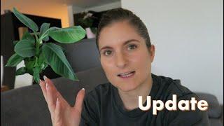 an update on my banana plant - and also my life