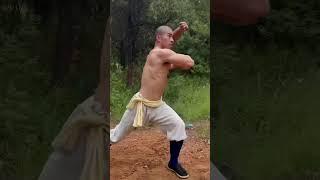 Shaolin Kungfu master Yanhao #Shaolin Kungfu #yanhao