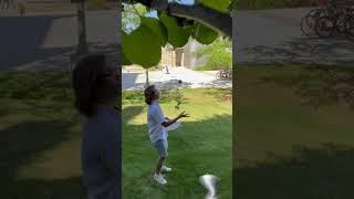 WWW actually stands for whirlwind wednesday ️ #whirlwind #funny #kendama #wind #hype