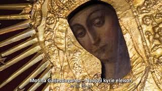 Motina Gailestingumo – Naujoji kyrie eleison | br. Paulius Vaineikis OFM | Pranciškonų homilijos