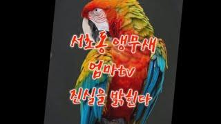 써니 이젠 말한다  서초동 앵무새엄마Tv숨겨진 가면 1탄