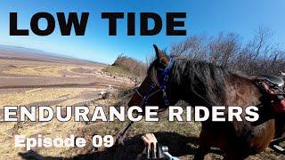  JOURNEY TO 100 MILES | ENDURANCE HORSE RIDING ON THE BEACH ️  Episode 09
