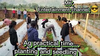 #mk #agriculture #practicemakesperfect #plants #soil 