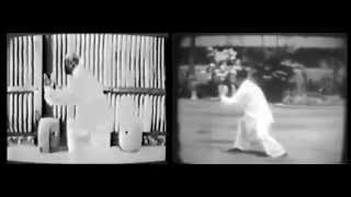 Tung Ying Chieh and Tung Hu Ling Taijiquan