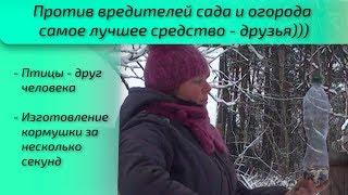 Против вредителей сада и огорода самое лучшее средство - друзья)))
