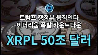 리플의 폭등예측 : Bitstamp, Archax 힌트를 주다.