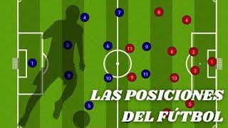 LAS POSICIONES EN EL FÚTBOL | Características, funciones y roles de los jugadores de fútbol.