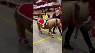 Bella's Pony Adventure | Trotting into Fun with Bella! #bella #pony #everydayadventures #kidsplay