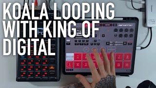 Koala Sampler & Audio Kit King Of Digital Looping Workflow - NervousCook$