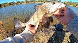 Bank Fishing Neighborhood Tidal Pond || MY GO TO INSHORE FISHING SETUP