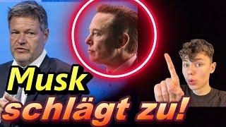 Habeck am Ende: Musk stellt ihn gnadenlos bloß!