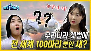 전 세계에 100마리만 있다고?!