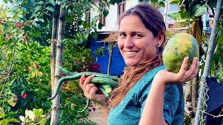 Organic Vegetables At Home | My regular work in rural village Rukum || Karnali Nepal