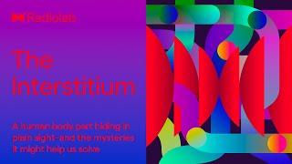 The Interstitium | Radiolab Podcast