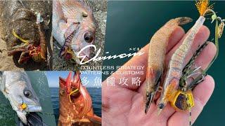 【EBINEM（エビネム）】リトルジャックの話題の多魚種対応・新ジャンルルアーがついに登場!　【実釣ヒットシーン・水中アクション公開】