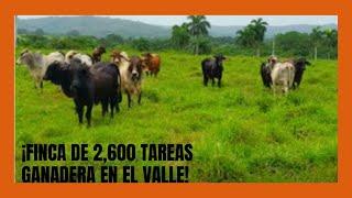 Finca de 2600 tareas Ganadera en Hato Mayor Rep Dom
