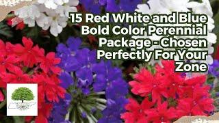 15 Patriot Perennial Package - 5 Each - Red Cardinal Flower, Blue Lobelia & Solomon Seal Plants