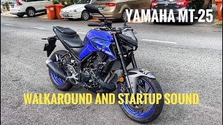 Yamaha MT-25 walkaround and startup sound