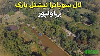 Lal Suhanra National Park: A Beautiful Wildlife Habitat in Bahawalpur