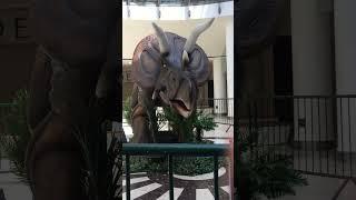 Dinosaur
