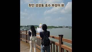 부성이 사진찍는 자매