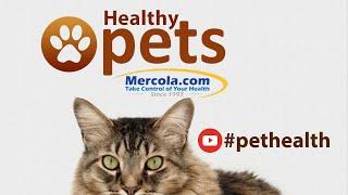 Healthy Pets by Dr Mercola - Veterinary Products for Pet Health & Vitality