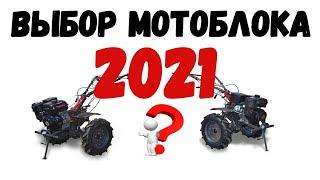 ВЫБОР МОТОБЛОКА 2021 или КАК ВЫБИРАЮТ МОТОБЛОКИ в СОВРЕМЕННОМ МИРЕ