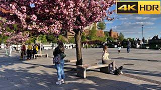  Poland Spring Walk | Krakow Walking Tour | European Bloom  [4K HDR]