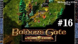 Мутамин и василиски — Baldur's Gate: Enhanced Edition Прохождение игры #16