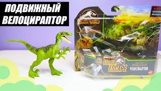 Фигурка динозавра Mattel Jurassic World Дикая стая "Велоцираптор", базовая | Подвижный динозавр Блю