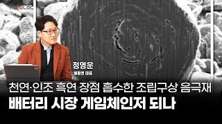 천연‧인조 흑연 장점 흡수한 조립구상 음극재 배터리 시장 게임체인저 되나