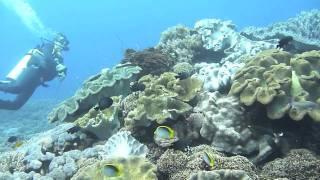 Crystal bay with Dive Concepts