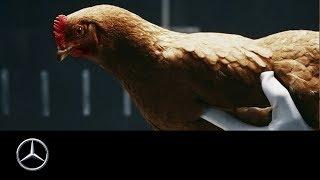 Mercedes-Benz “Chicken” MAGIC BODY CONTROL TV commercial