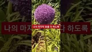 가사)하나님의 은혜 사무엘왕 TV King Samuel owewelee06@gmail.com