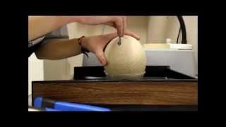 How to break open an ostrich egg - raising ostrich chicks