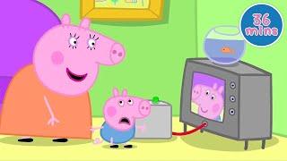 Stars & More | Peppa Pig Full Episodes | Kids TV & Stories