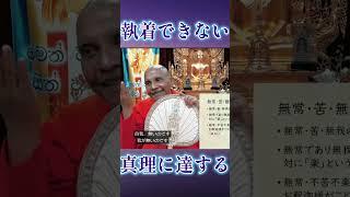 執着できない真理に達する #shorts #スマナサーラ長老 #初期仏教 #jtba