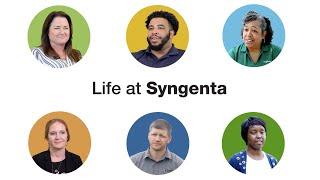 Life at Syngenta