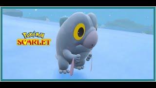 Shiny Frigibax in Pokemon Scarlet and Violet