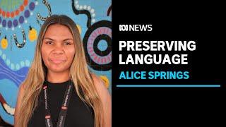 NT school aims to build classroom on country to keep Pertame Aboriginal language alive | ABC News