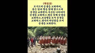 #화엄경# #김이현 定慧#禪어록,#참선 ,#선불교,#간화선 ,#명상,#수행,#수행#자신과의 만남,