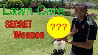 MICRONUTRIENTS FERTILIZER for BERMUDA GRASS // [HOW to APPLY LIQUID IRON]