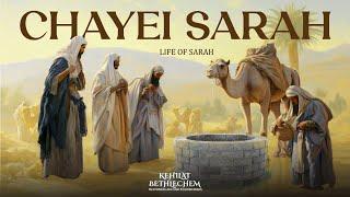 Torah Portion | Chayei Sarah - חַיֵּי שָֹרָה | Life of Sarah