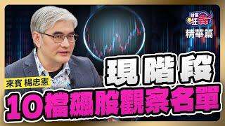 【精華】現階段10檔飆股觀察名單｜楚狂人 ft. 專業投資人 楊忠憲｜財富狂犇｜玩股網20250304